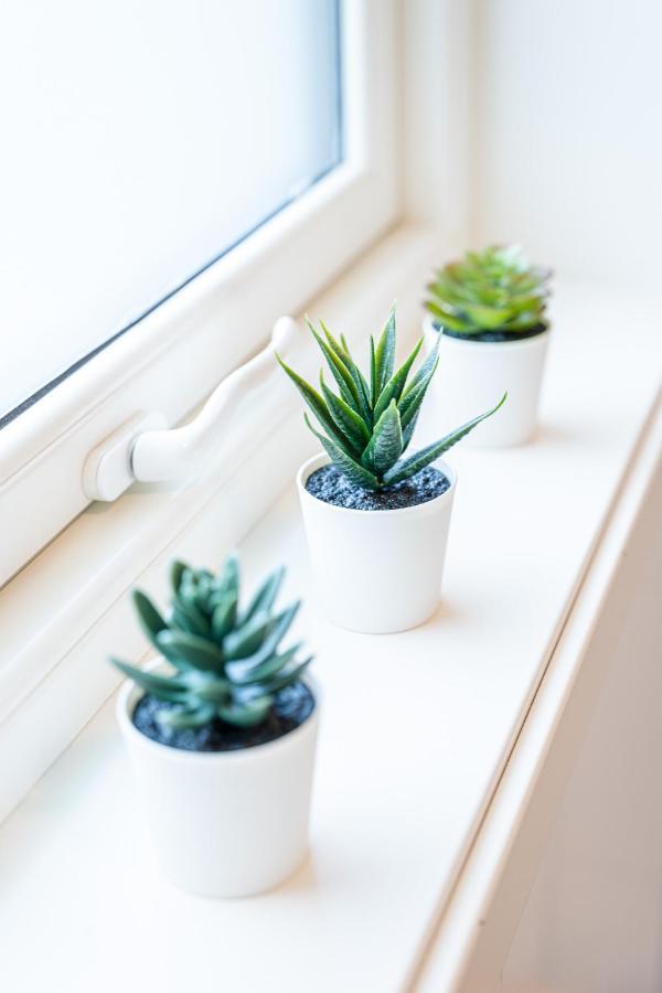 SævelandNew Akrahamn Coast Houseアパートメント エクステリア 写真
